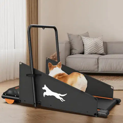 PetRun Fitness Treadmill for Small to Medium Dogs