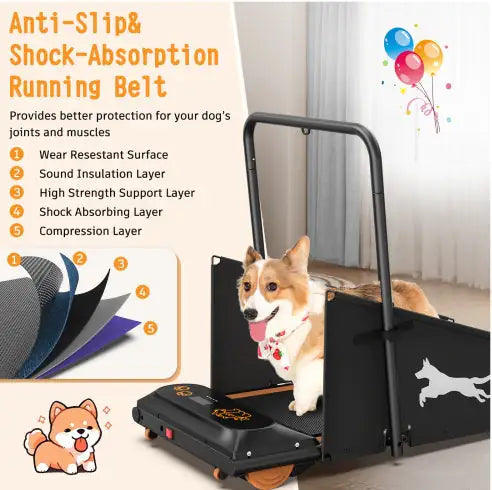 PetRun Fitness Treadmill for Small to Medium Dogs