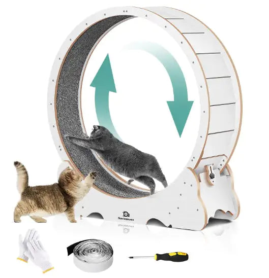 PurrFit Carpeted Cat Walker