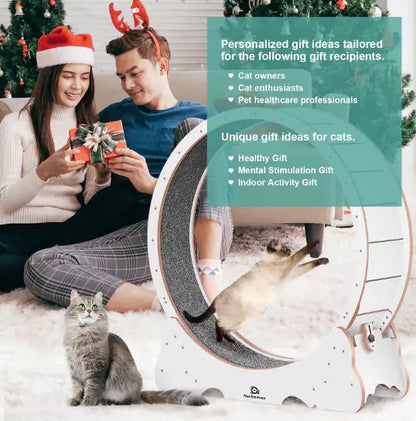 PurrFit Carpeted Cat Walker