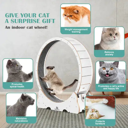 PurrFit Carpeted Cat Walker