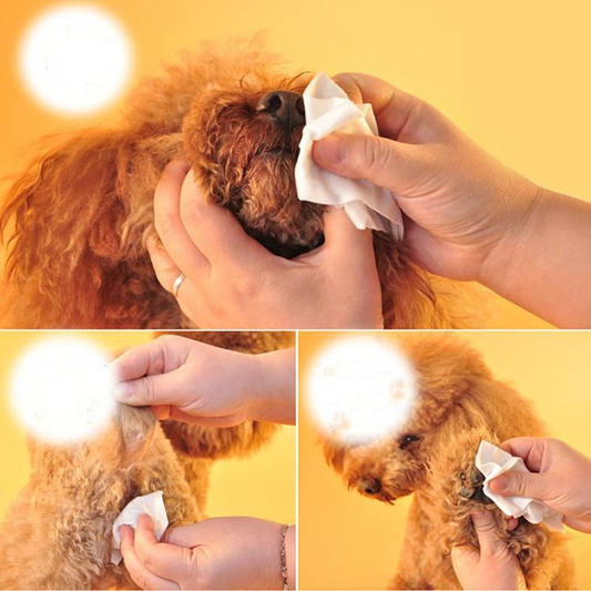 Pet Hygiene Wipes
