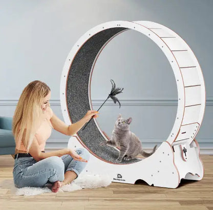 PurrFit Carpeted Cat Walker