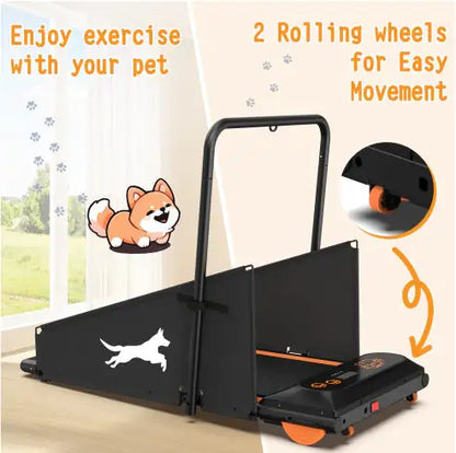 PetRun Fitness Treadmill for Small to Medium Dogs
