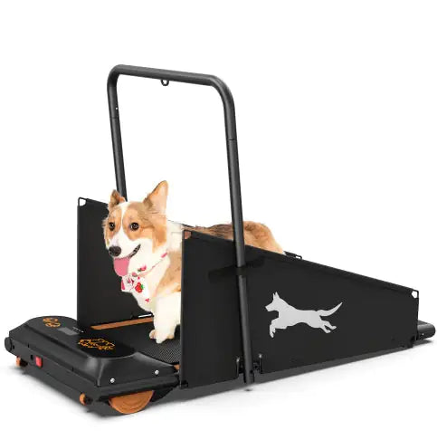 PetRun Fitness Treadmill for Small to Medium Dogs