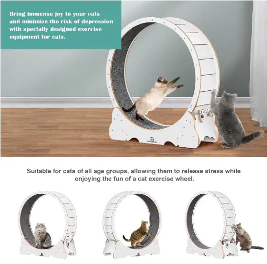 PurrFit Carpeted Cat Walker
