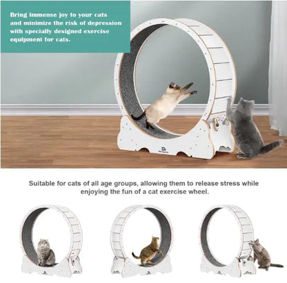 PurrFit Carpeted Cat Walker